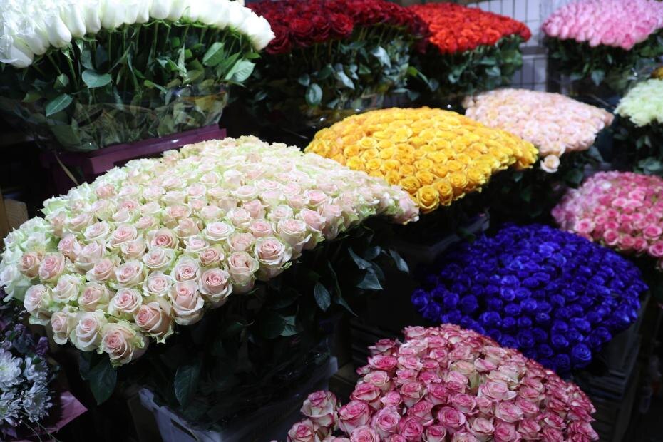    Сергей Булкин/NEWS.ru