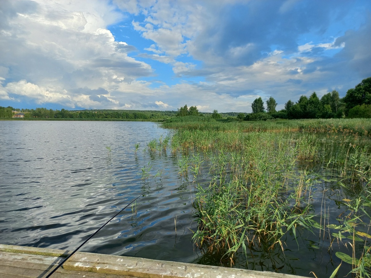фото автора 20.07.2025