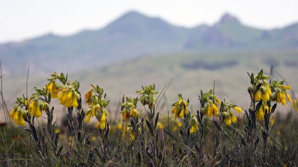    © РИА Новости . Сергей Мальгавко