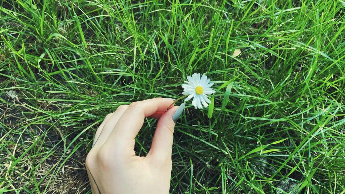     Источник: 1MI