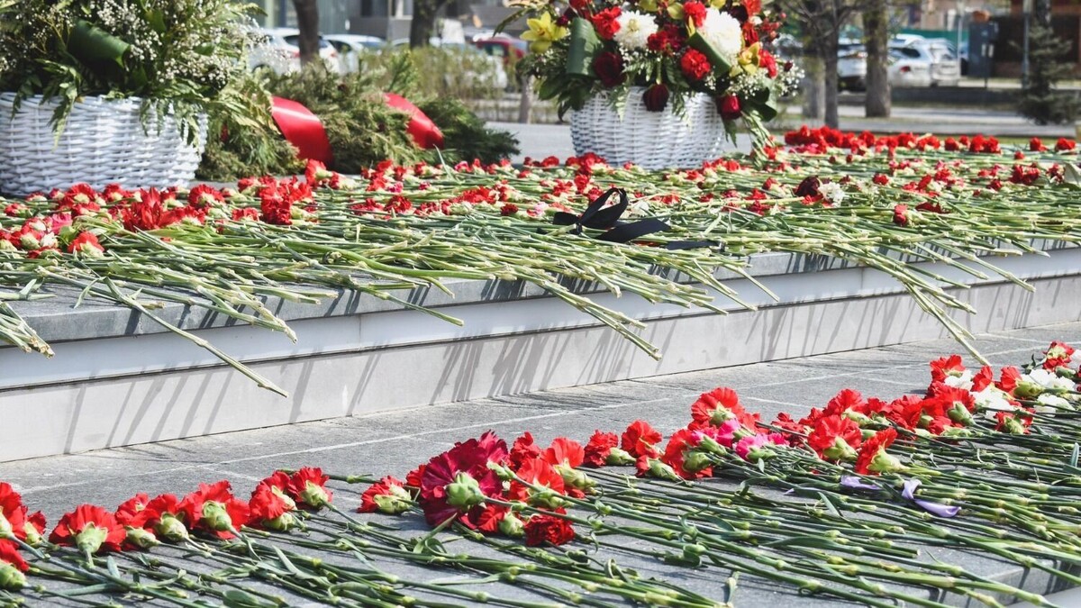     Источник: 1MI