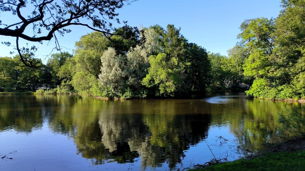    Фото: Maksim Konstantinov/Globallookpress