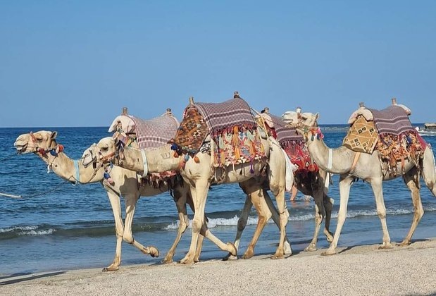    Фото: предоставлено героиней материала