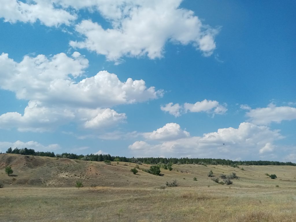   Фото: Н. Савина. Галина Ященко