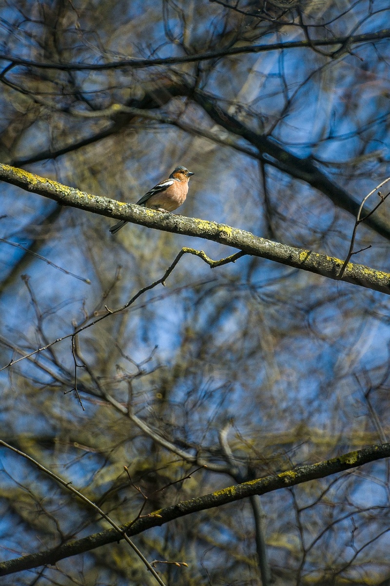 Фото: Александр Панов.