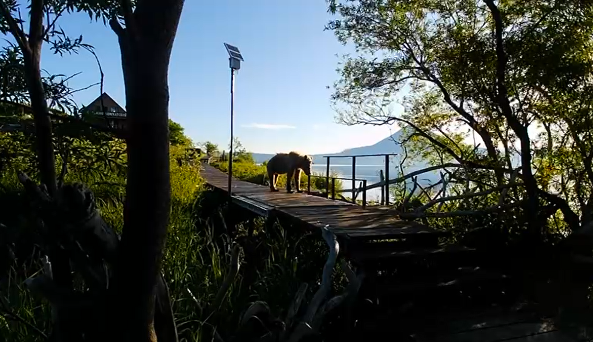 Фото: Кроноцкий заповедник