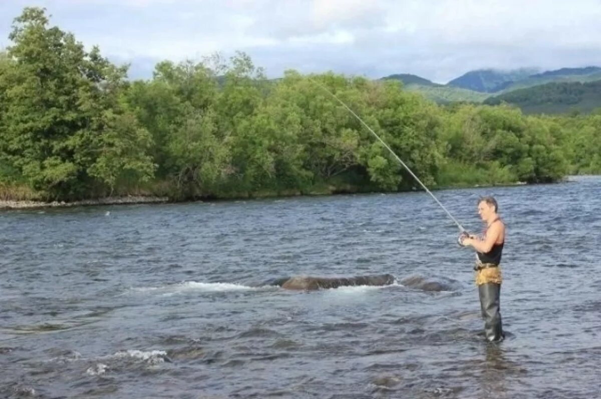    Эксперимент по бесплатному вылову 10 хвостов горбуши стартовал на Камчатке