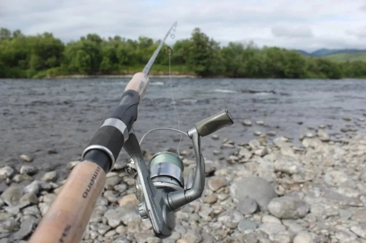    На Камчатке организовали первый участок с бесплатным выловом горбуши