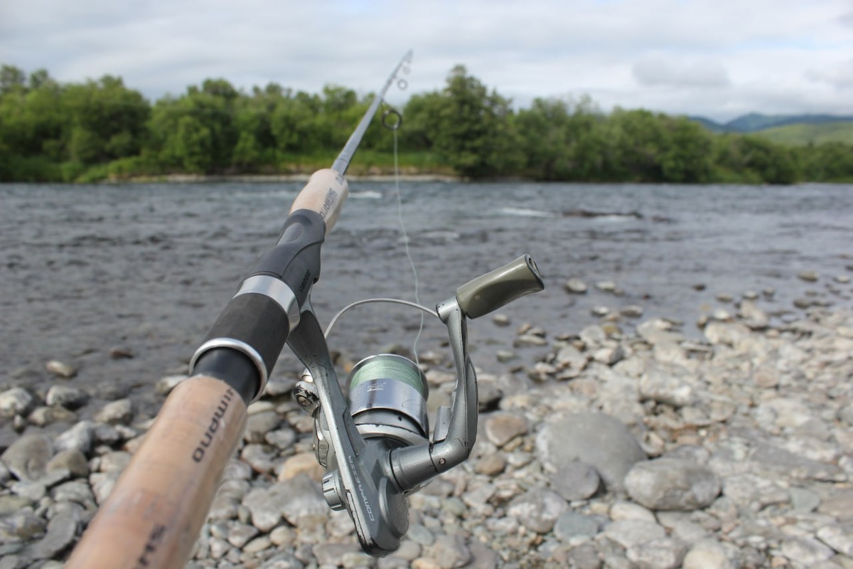 Фото: Телеграм-канал «Рыбак Камчатки»