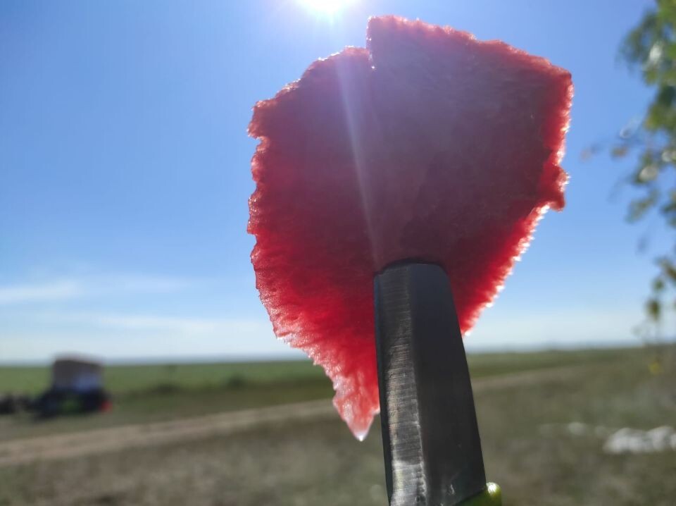    Мякоть арбуза. Источник: Петр Варнавский