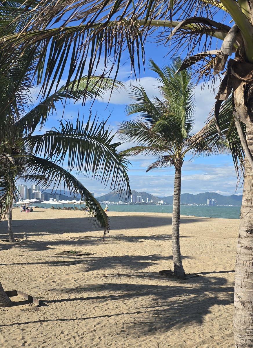 Вьетнамский курорт Нячанг - одно из самых популярных направлений у россиян этим летом.