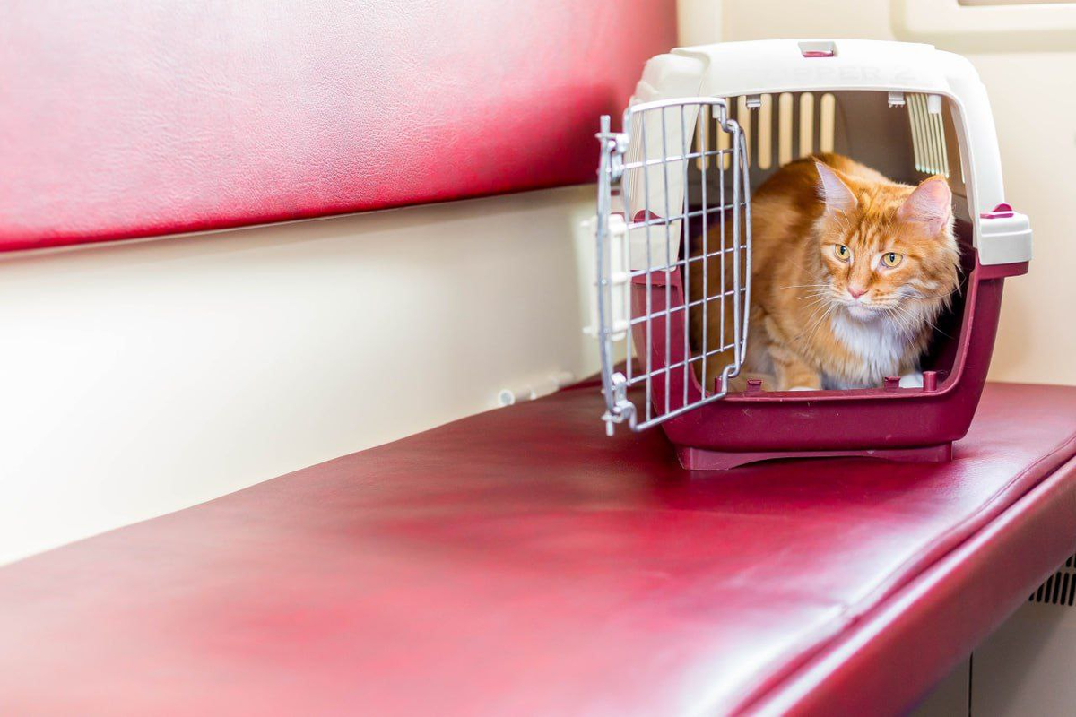 Фото: пресс-служба РЖД