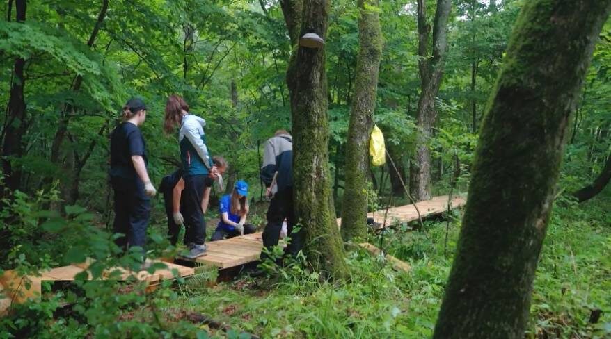    Источник фото: