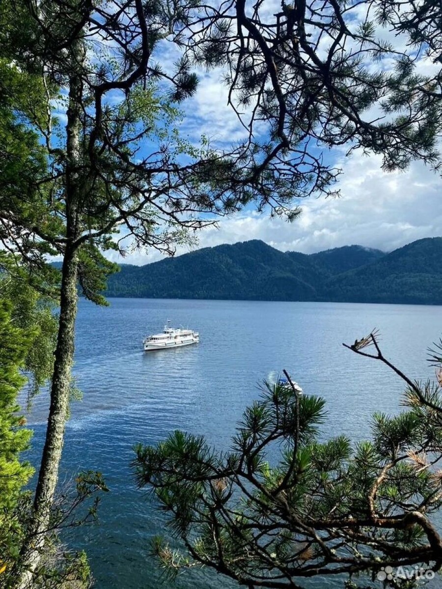    Базу отдыха продают в Республике Алтай. Источник: avito.ru