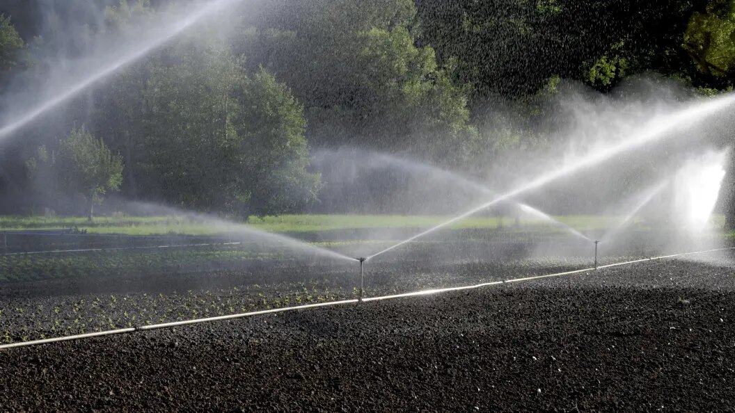    Фото: Bernard Jaubert/imageBROKER.com/Globallookpress