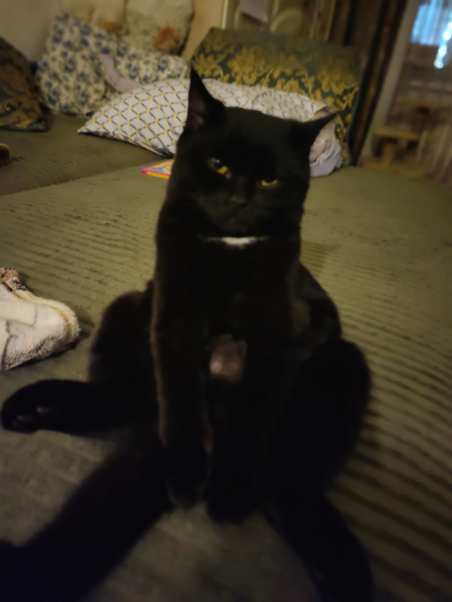 Грусть – тоска меня съедает.