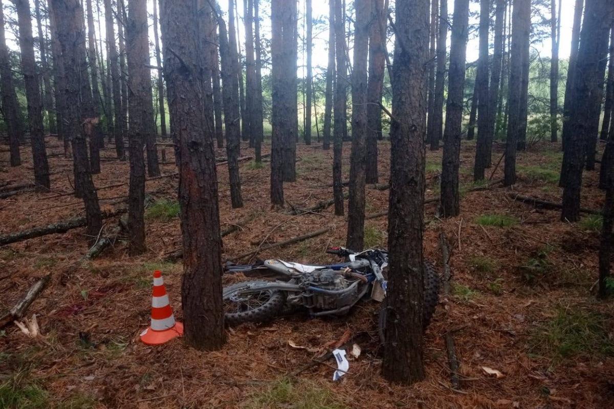    Фото: ГАИ НСО