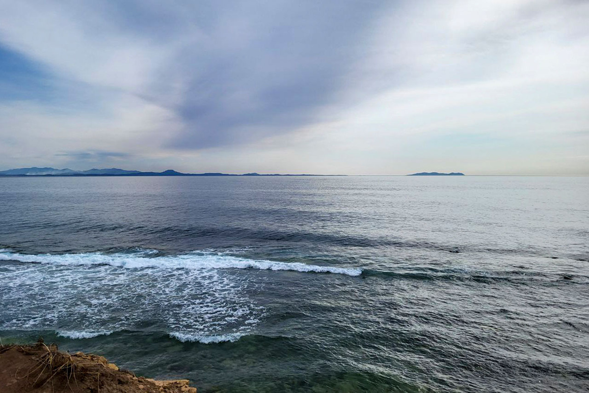 МЧС запретило купание и лов морепродуктов из-за водорослей.  Фото: Фото: ФедералПресс / Анна Миронова