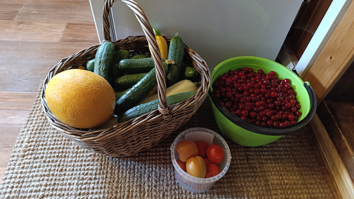 Дообеденный сбор