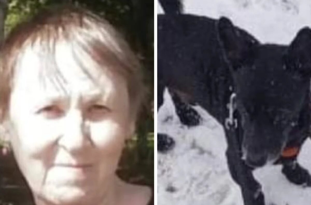    Дезориентированную пенсионерку с собакой две недели ищут в Комсомольске