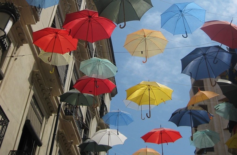 Источник фото flickr.com📷    Ягода-черника уведёт от лиха: как в духе традиций провести 22 июля
