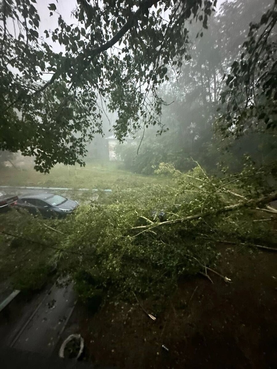     Источник: предоставлено жителями дома