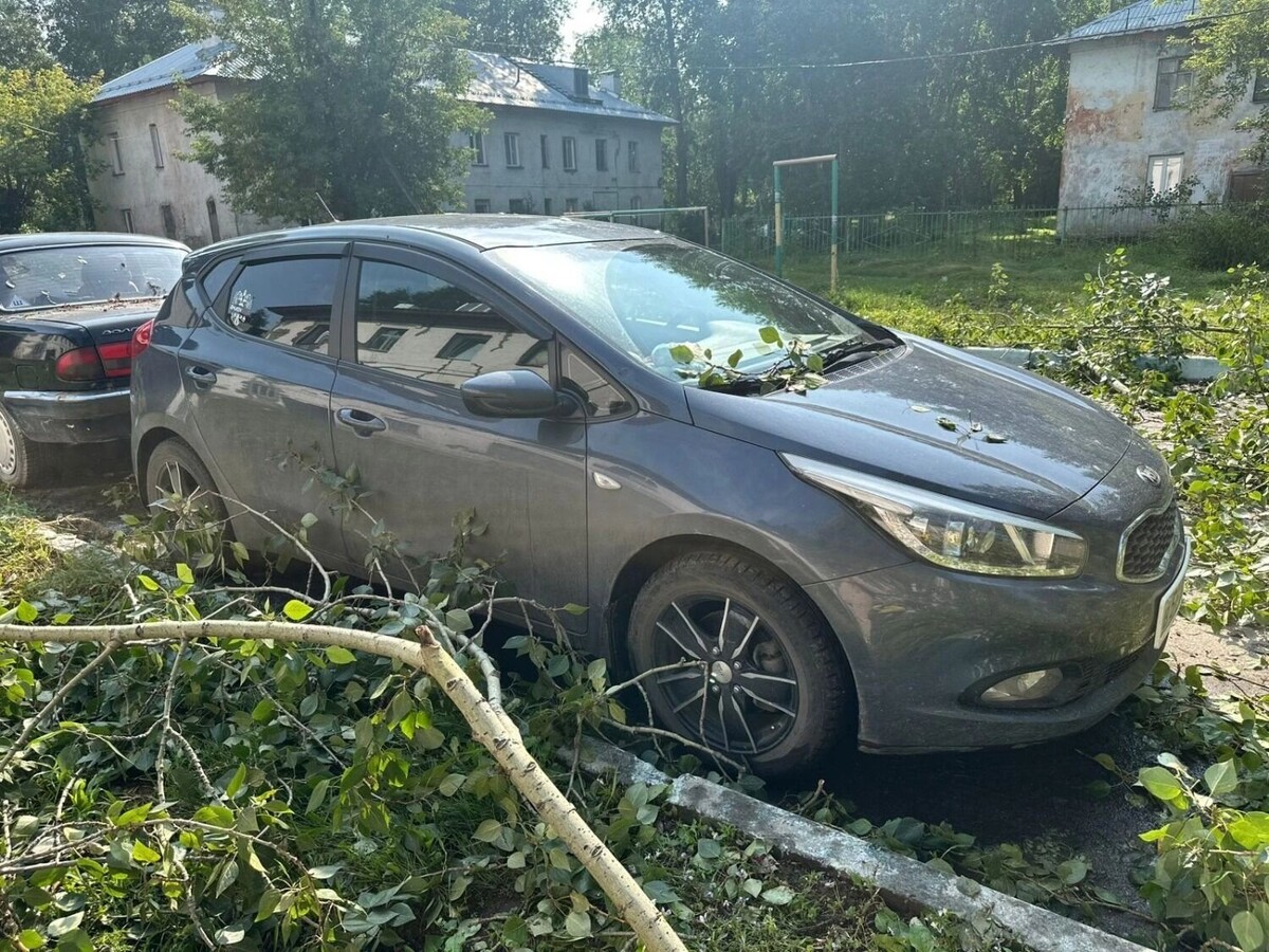     Источник: предоставлено жителями дома