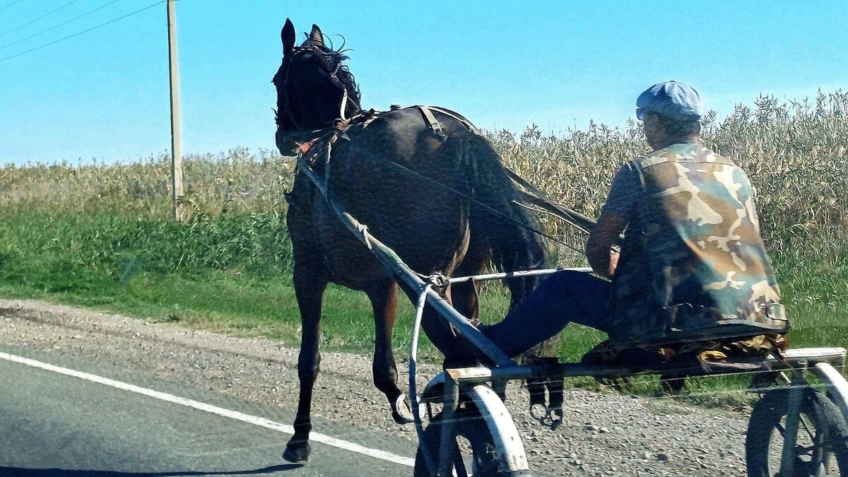     Автор: KubanPress Источник: kubanpress.ru