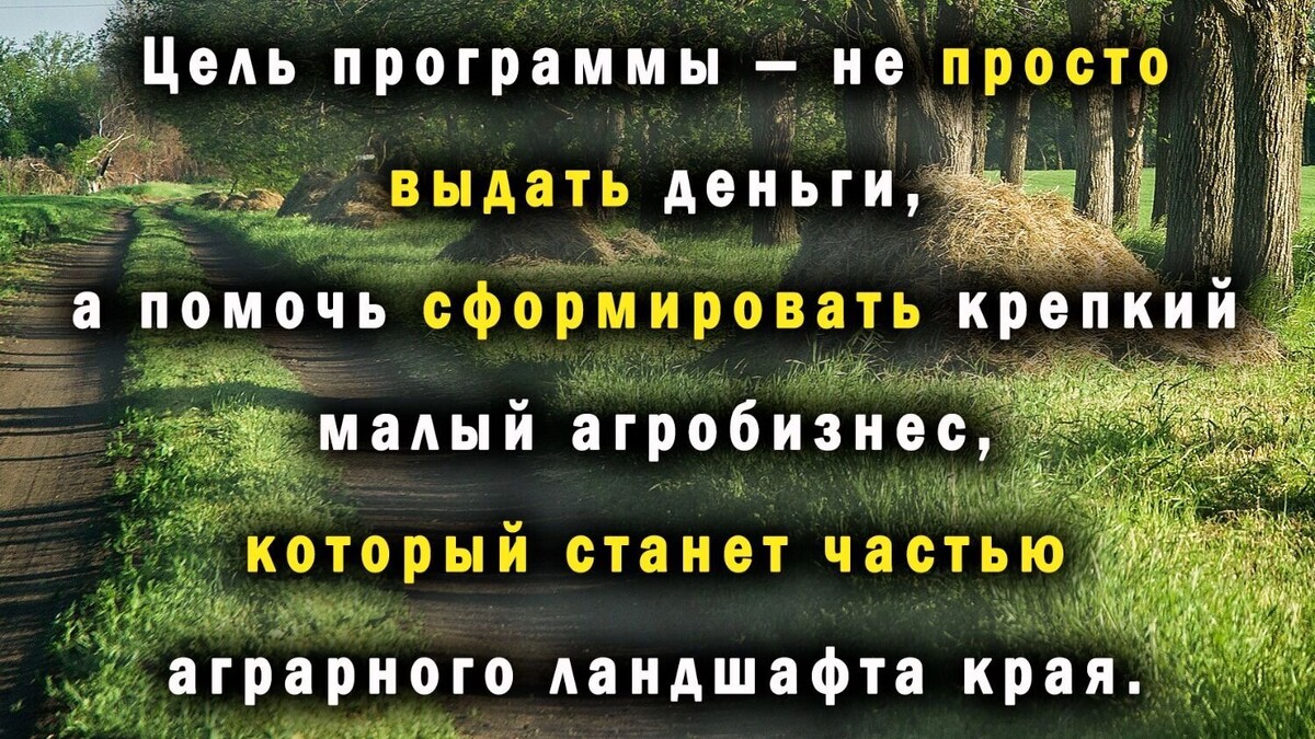     Источник: kubanpress.ru