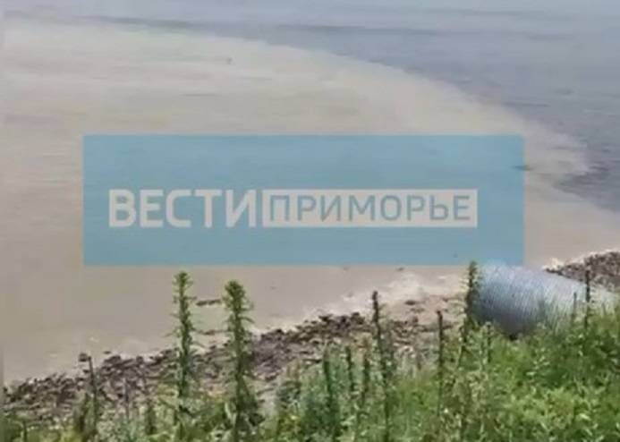    Источник фото: