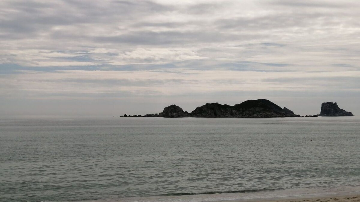     Источник: vostokmedia.com