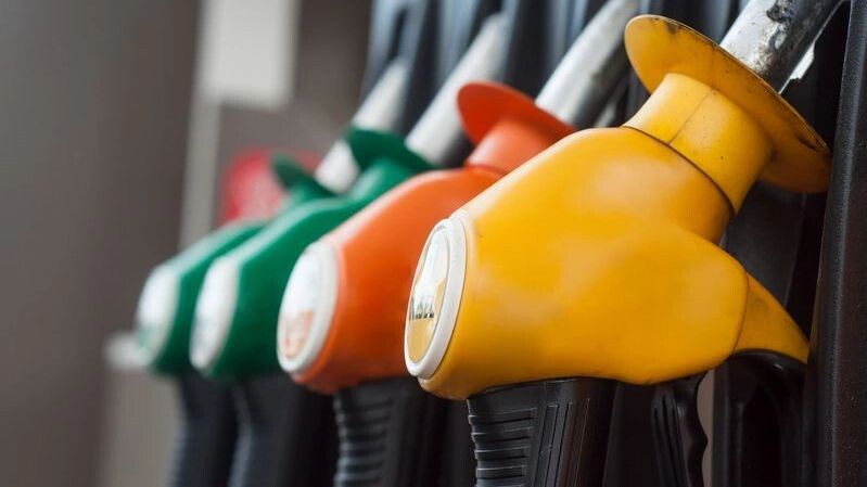    Фото: NeydtStock / Shutterstock / Fotodom