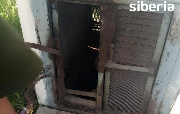 Фото из новостного блога Mash Siberia