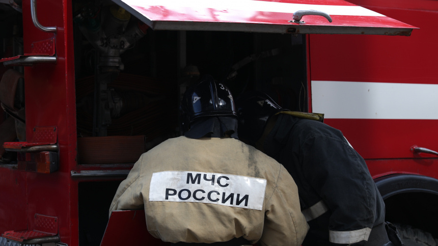    Фото: ИЗВЕСТИЯ/Павел Бедняков