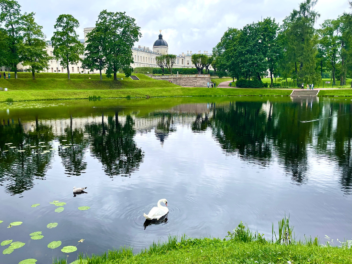 Вид на Большой Гатчинский дворец со стороны дворцового парка