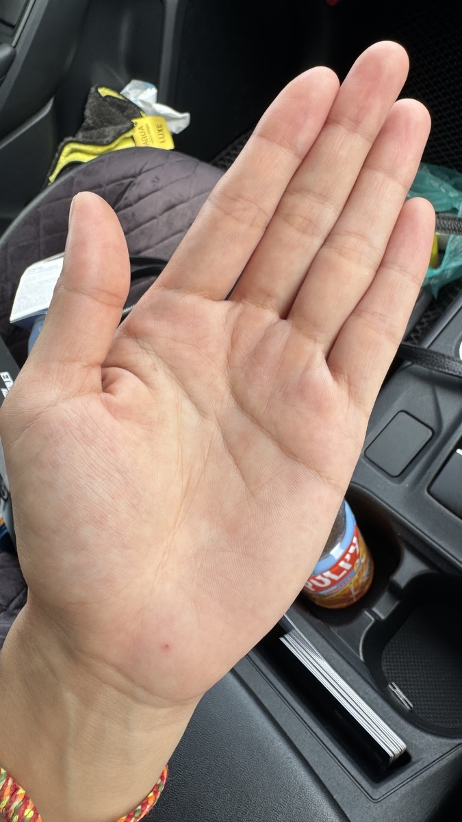 Фото с моего канала Дзен. 