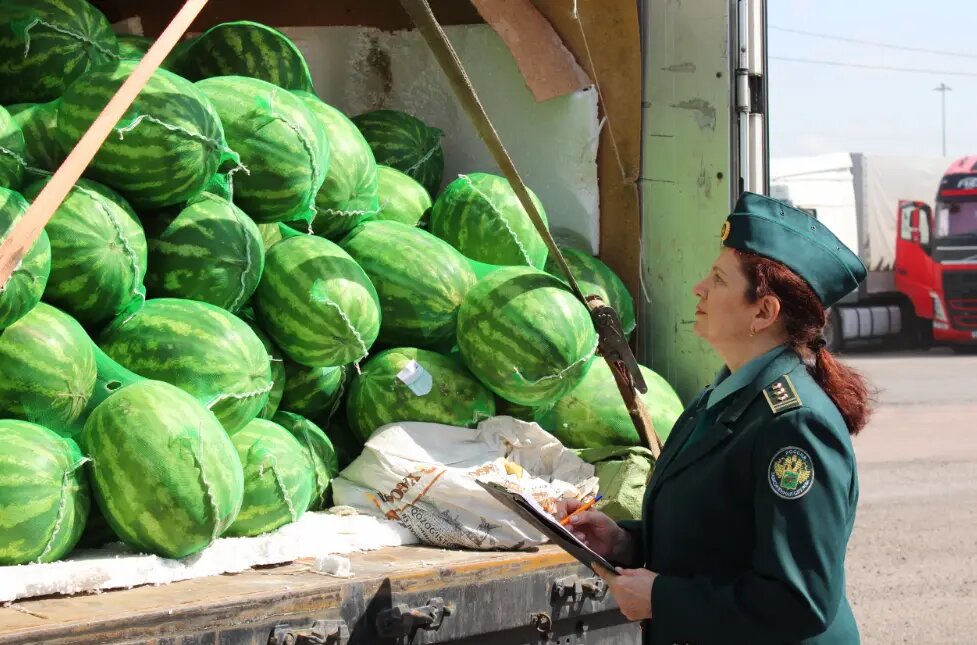    Фото: пресс-служба Северо-Западного таможенного управления