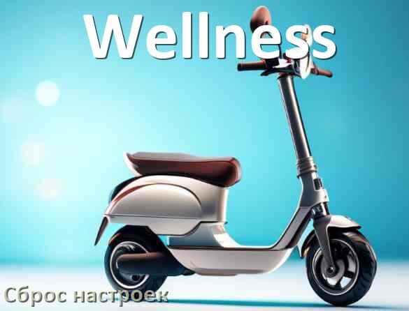 
Как сбросить электросамокат Wellness на заводские настройки по умолчанию