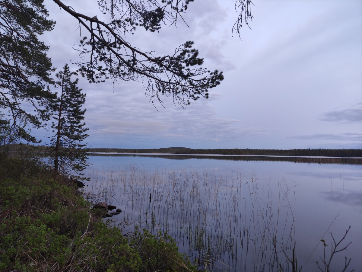 Автор фото: Иван Дубровин
