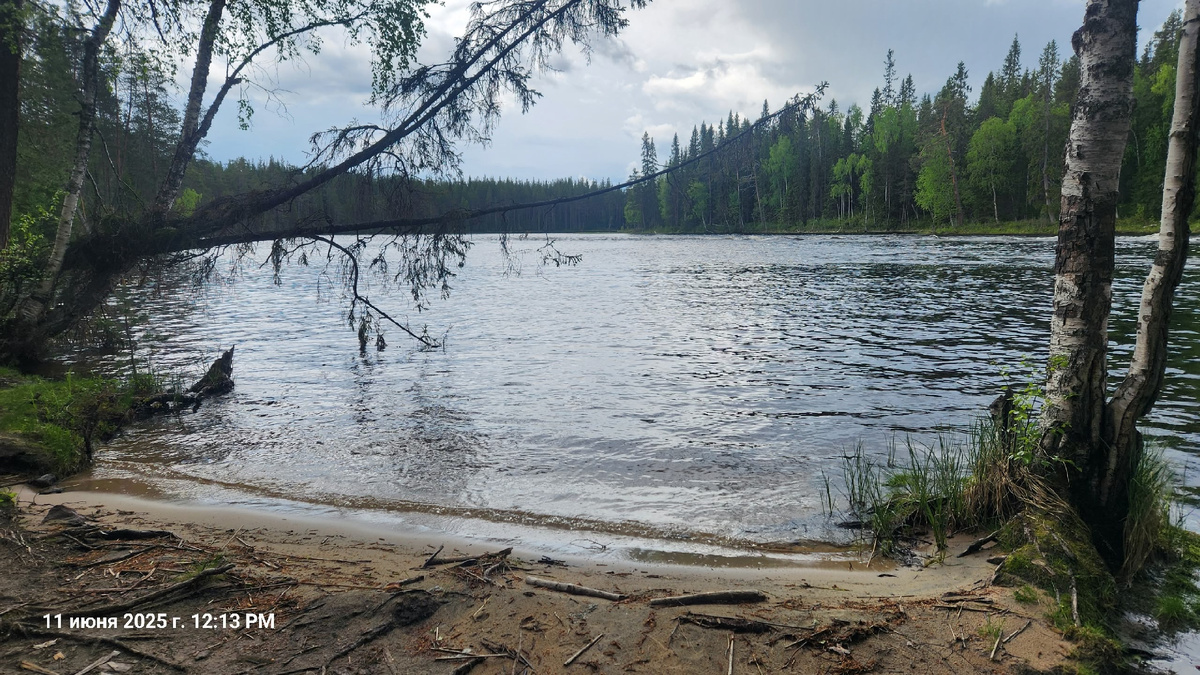 Автор фото: Александр Новаев