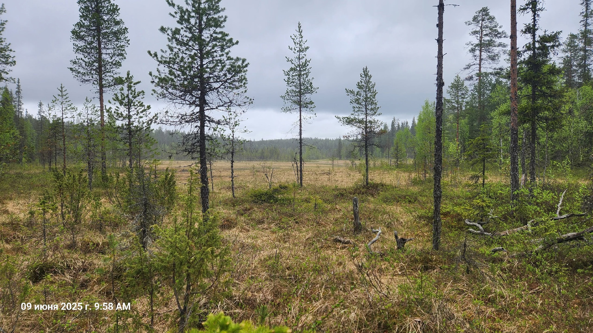 Автор фото: Александр Новаев