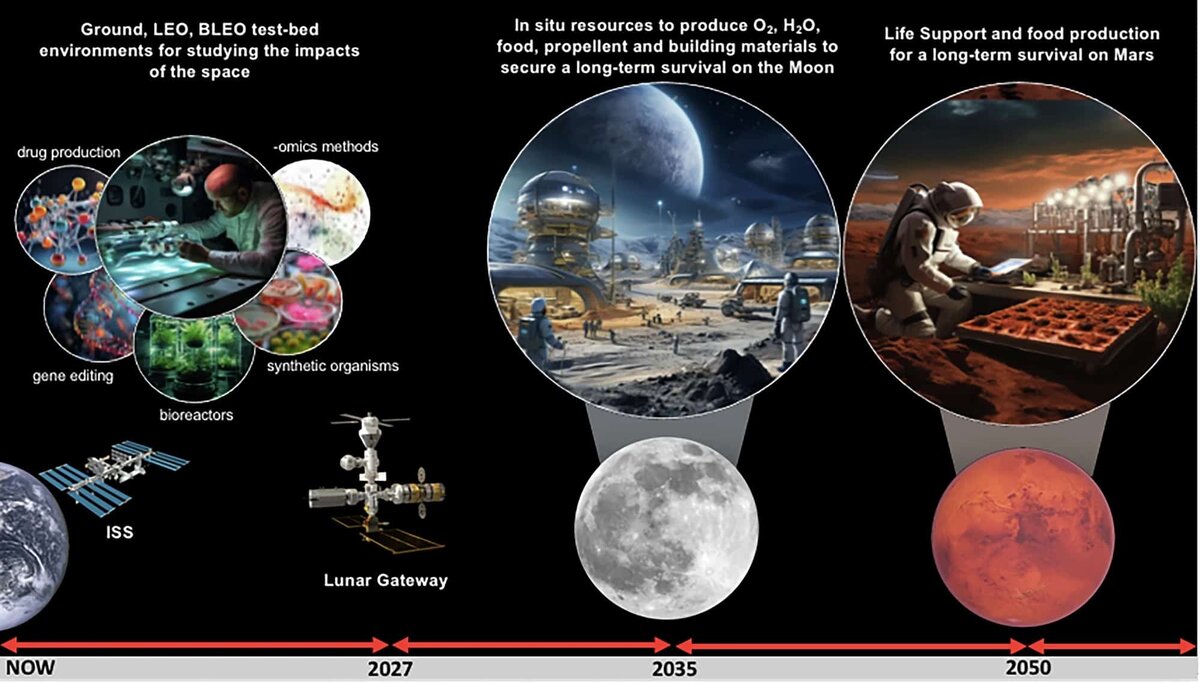   Таймлайн внедрения технологий синтетической биологии в космосе от авторов работы / © Silvano Onofri et. al./npj Microgravity (2025). DOI: 10.1038/s41526-025-00488-7