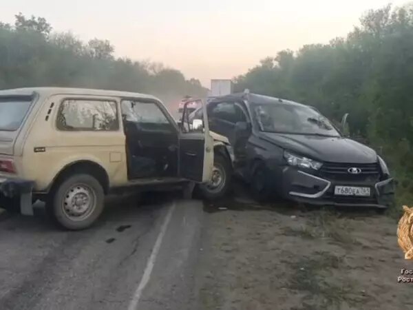    Фото: Госавтоинспекция Ростовской области Веселовские вести