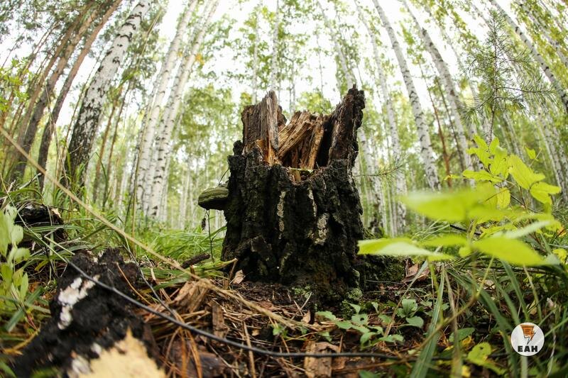    ЕАН. Архивное фото