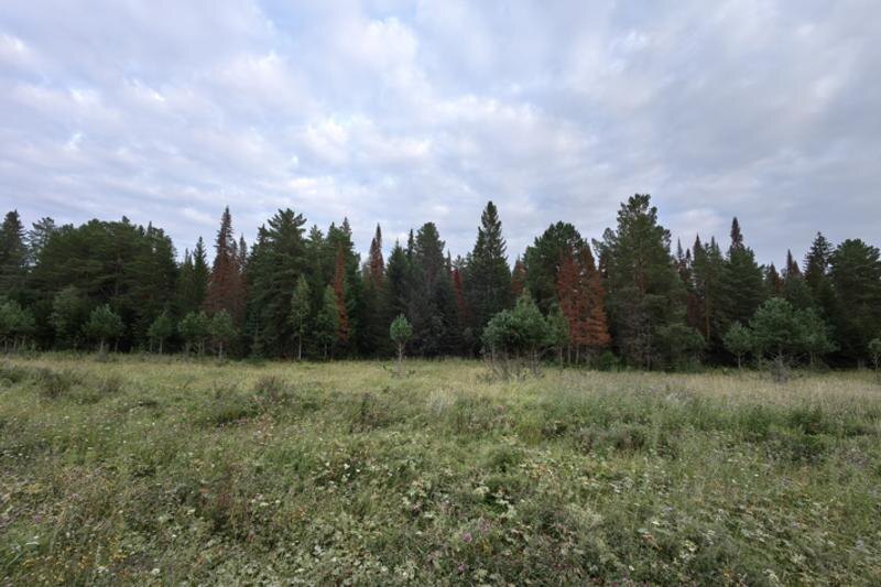    Фото предоставлено Галиной Замшиной