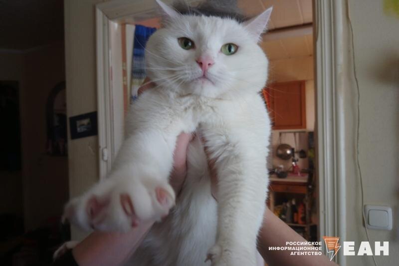    ЕАН / Архивное фото