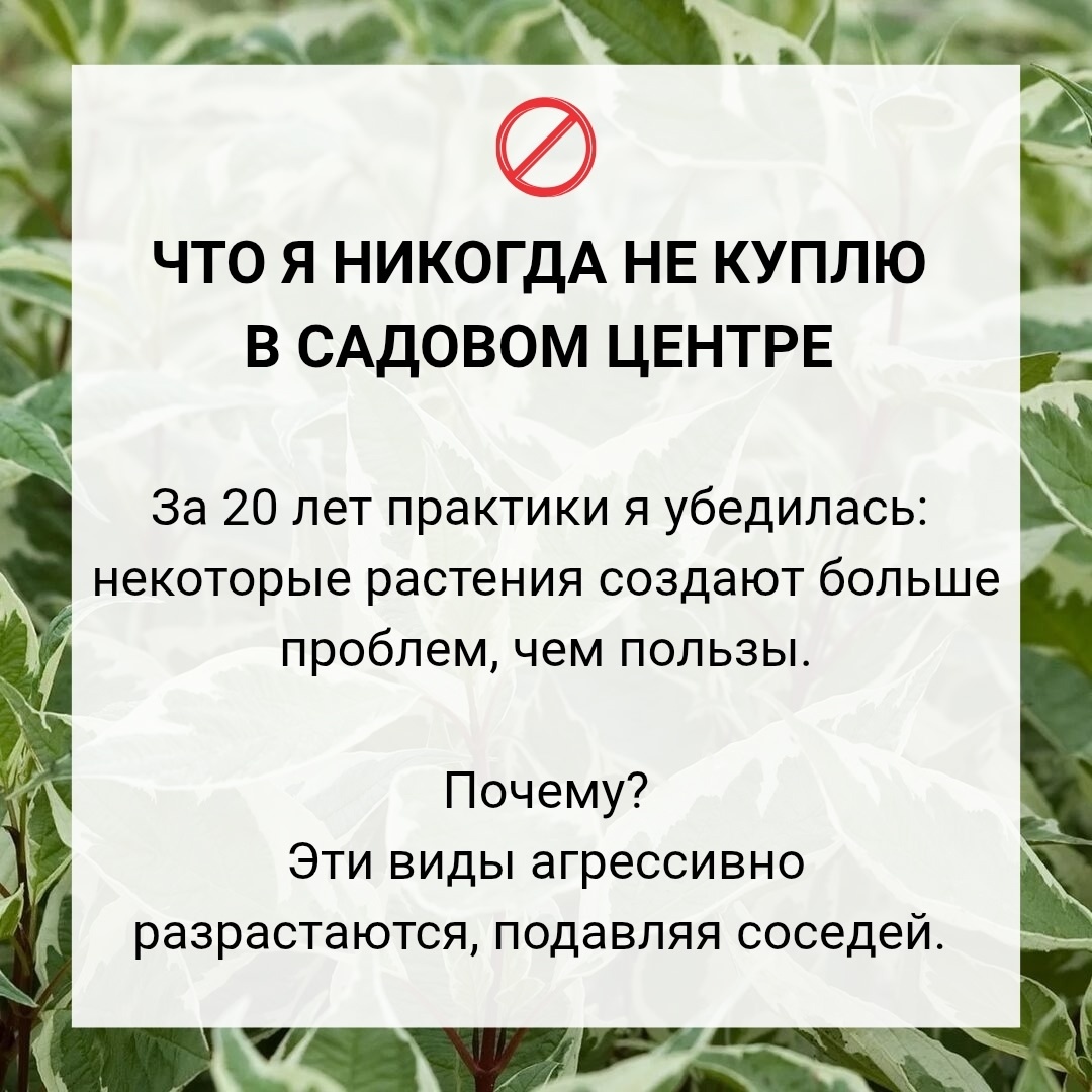 Листайте галерею по стрелке вправо 