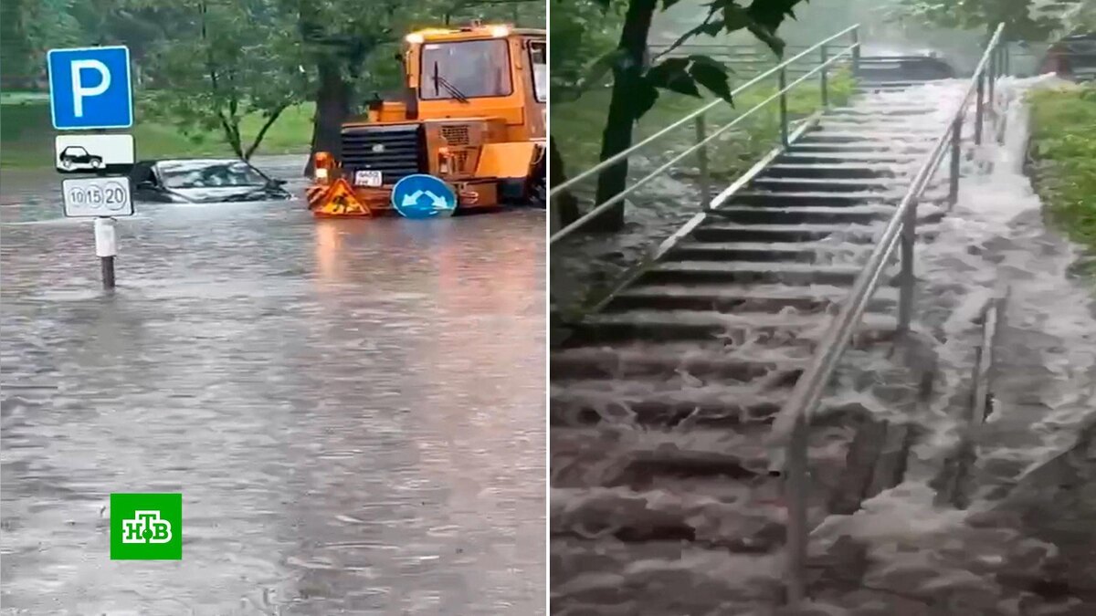    Дожди в столичном регионе будут идти почти всю неделю