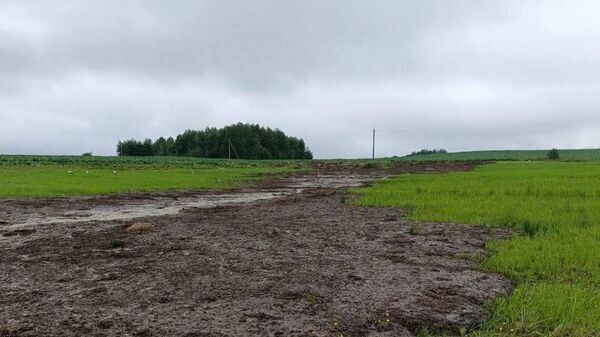    © Photo : Telegram / Министерство природы