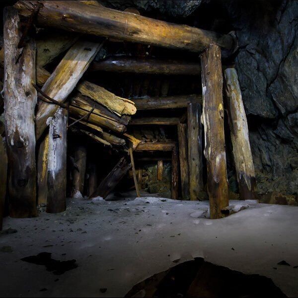 Фотография взята из источника yandex.ru